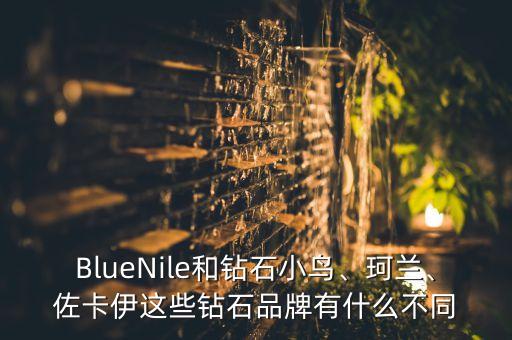BlueNile和鉆石小鳥、珂蘭、佐卡伊這些鉆石品牌有什么不同