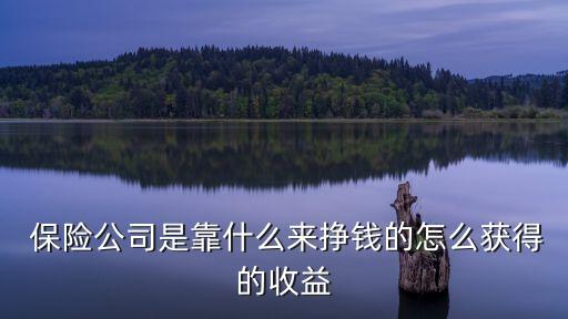 保險(xiǎn)公司到底誰(shuí)在賺錢(qián),車險(xiǎn)保險(xiǎn)公司賺錢(qián)嗎