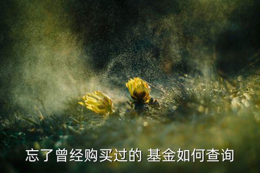 忘了曾經(jīng)購(gòu)買(mǎi)過(guò)的 基金如何查詢(xún)
