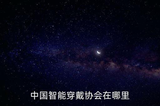 藍(lán)海國際控股有限公司,深圳中電藍(lán)?？毓捎邢薰靖笨偨?jīng)理