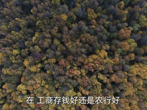 在 工商存錢好還是農行好