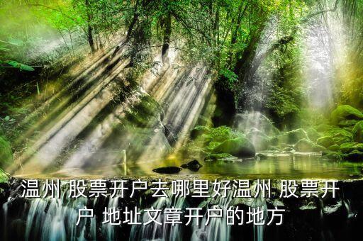 溫州 股票開(kāi)戶(hù)去哪里好溫州 股票開(kāi)戶(hù) 地址文章開(kāi)戶(hù)的地方