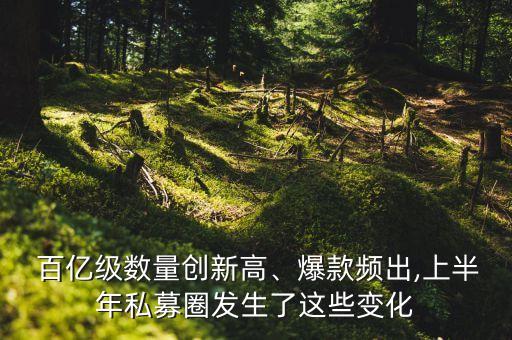  百億級(jí)數(shù)量創(chuàng)新高、爆款頻出,上半年私募圈發(fā)生了這些變化