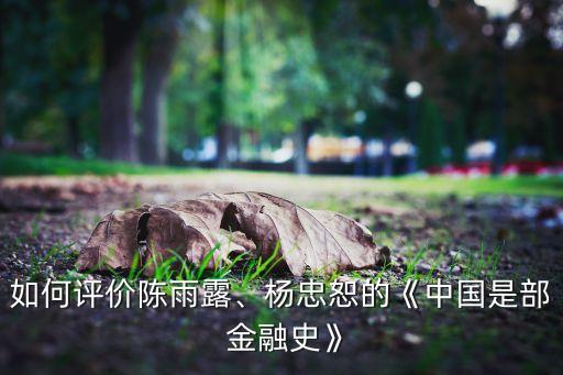如何評(píng)價(jià)陳雨露、楊忠恕的《中國(guó)是部 金融史》