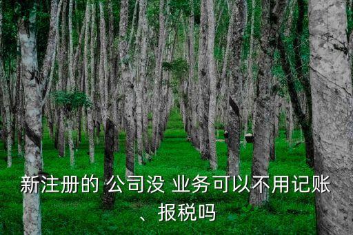 新注冊的 公司沒 業(yè)務(wù)可以不用記賬、報稅嗎