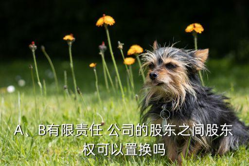 A、B有限責(zé)任 公司的股東之間股東權(quán)可以置換嗎
