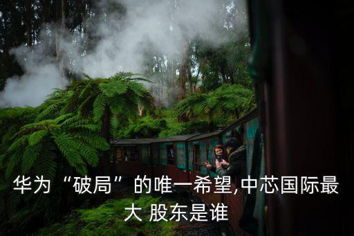 華為“破局”的唯一希望,中芯國(guó)際最大 股東是誰