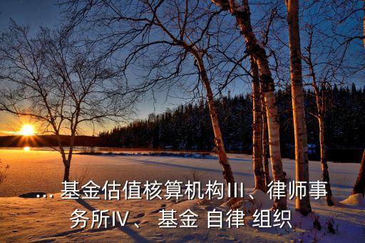 ... 基金估值核算機(jī)構(gòu)Ⅲ、律師事務(wù)所Ⅳ、 基金 自律 組織