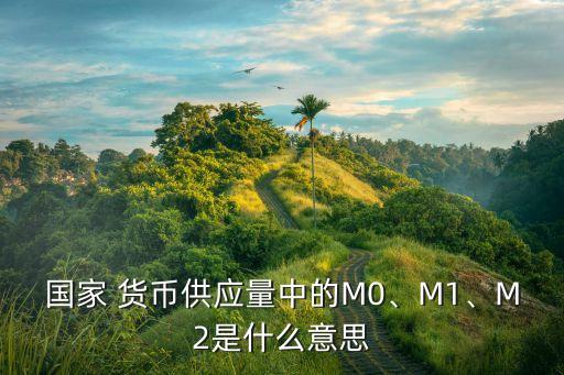 國家 貨幣供應(yīng)量中的M0、M1、M2是什么意思