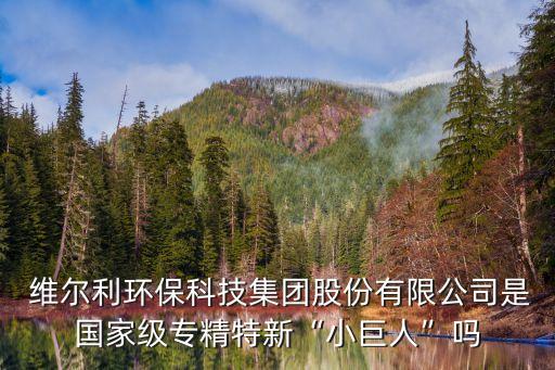  維爾利環(huán)保科技集團(tuán)股份有限公司是國(guó)家級(jí)專(zhuān)精特新“小巨人”嗎