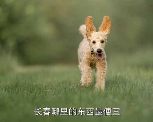 北京華聯長春地區(qū)供應商
