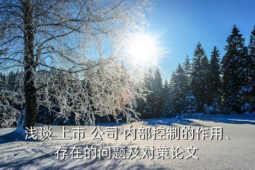 淺談 上市 公司 內(nèi)部控制的作用、存在的問題及對策論文