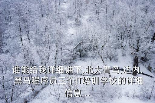 誰能給我詳細(xì)講下,北大青鳥,達(dá)內(nèi), 黑馬程序員三個IT培訓(xùn)學(xué)校的詳細(xì)信息...