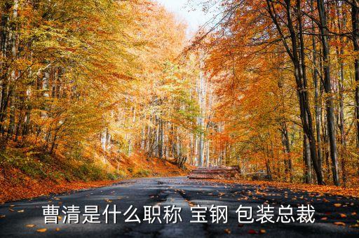 曹清是什么職稱(chēng) 寶鋼 包裝總裁