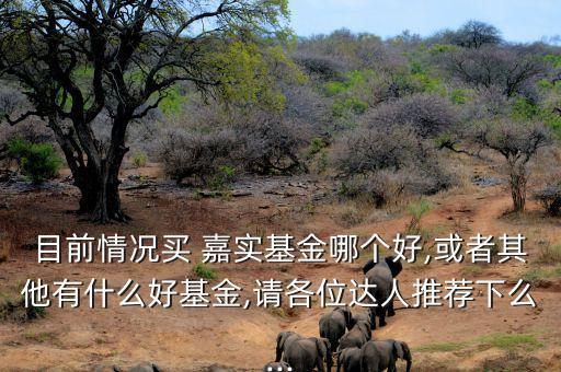 嘉實優(yōu)質企業(yè)股票,優(yōu)質企業(yè)股票有哪些
