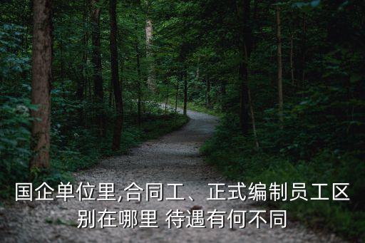 國企單位里,合同工、正式編制員工區(qū)別在哪里 待遇有何不同