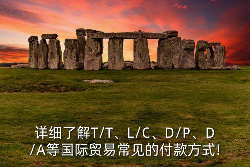 詳細(xì)了解T/T、L/C、D/P、D/A等國際貿(mào)易常見的付款方式!
