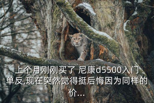 上個(gè)月剛剛買了 尼康d5500入門單反,現(xiàn)在突然覺(jué)得挺后悔因?yàn)橥瑯拥膬r(jià)...