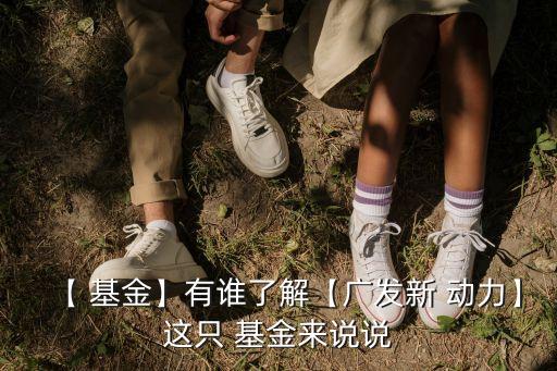 【 基金】有誰(shuí)了解【廣發(fā)新 動(dòng)力】這只 基金來說說