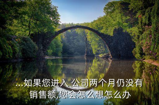 公司沒(méi)有銷售額