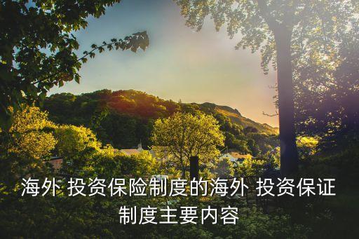 海外 投資保險制度的海外 投資保證制度主要內容