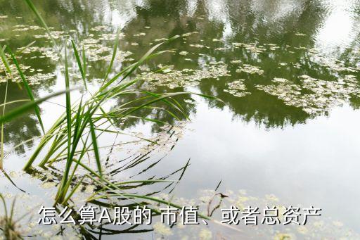 怎么算A股的 市值、或者總資產