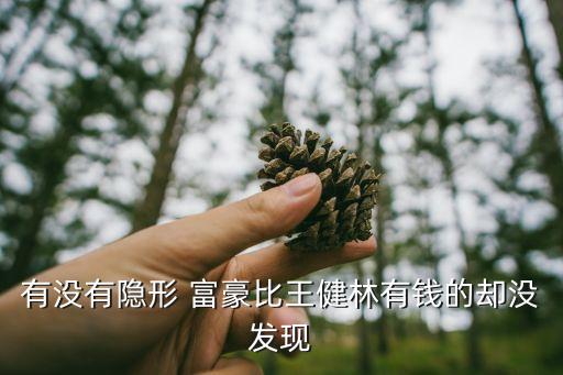 有沒有隱形 富豪比王健林有錢的卻沒發(fā)現