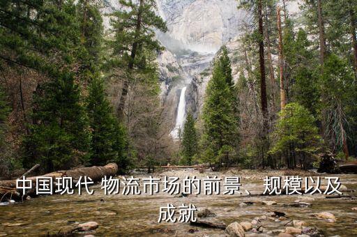 中國現(xiàn)代 物流市場的前景、規(guī)模以及成就