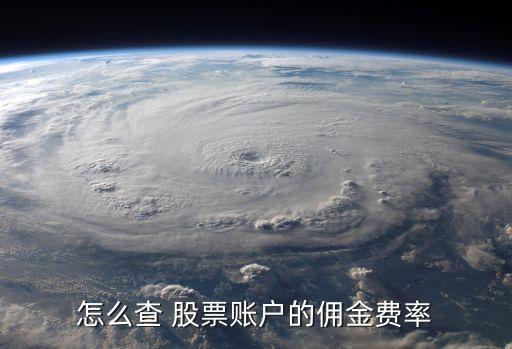 怎么查 股票賬戶(hù)的傭金費(fèi)率