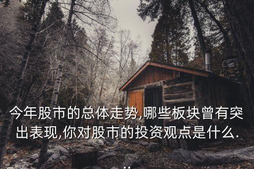 今年股市的總體走勢,哪些板塊曾有突出表現(xiàn),你對(duì)股市的投資觀點(diǎn)是什么...