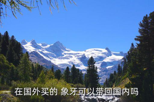 在國外買的 象牙可以帶回國內嗎