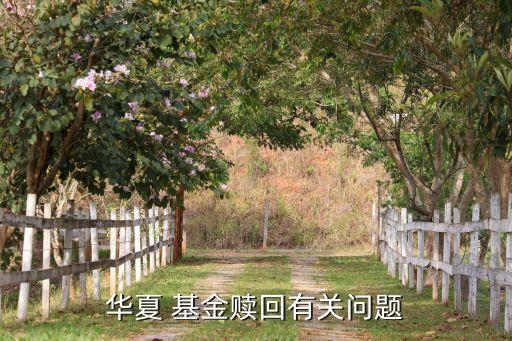 華夏 基金贖回有關問題