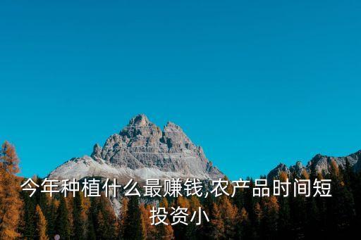 今年種植什么最賺錢,農產品時間短 投資小