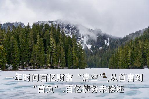 一年時間百億財(cái)富“清空”,從首富到“首負(fù)”,百億債務(wù)未償還