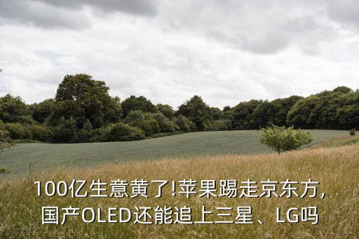 100億生意黃了!蘋果踢走京東方,國(guó)產(chǎn)OLED還能追上三星、LG嗎