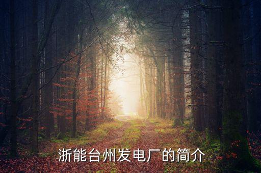  浙能臺(tái)州發(fā)電廠(chǎng)的簡(jiǎn)介