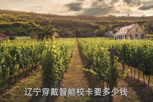 遼寧穿戴智能?？ㄒ嗌馘X
