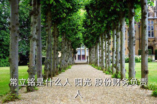 常立銘是什么人 陽光 股份財務(wù)負責人