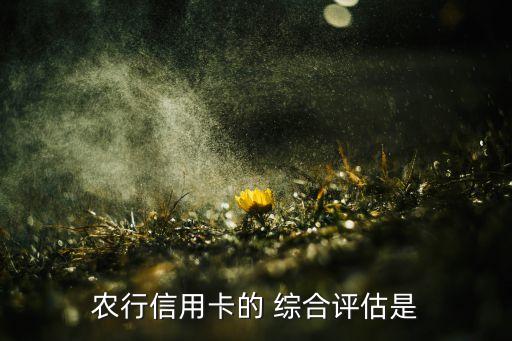 農行信用卡的 綜合評估是