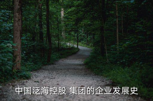 中國泛?？毓?集團的企業(yè)發(fā)展史