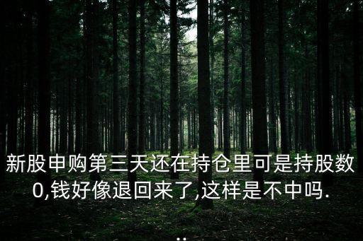 新股申購(gòu)第三天還在持倉(cāng)里可是持股數(shù)0,錢好像退回來(lái)了,這樣是不中嗎...