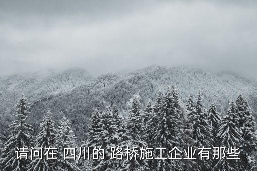 四川新路橋實業(yè)有限公司,中國路橋集團西安實業(yè)發(fā)展有限公司
