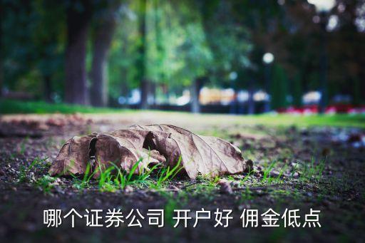 哪個(gè)證券公司 開(kāi)戶(hù)好 傭金低點(diǎn)