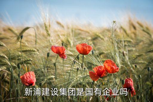 新浦建設(shè)集團(tuán)是國(guó)有企業(yè)嗎