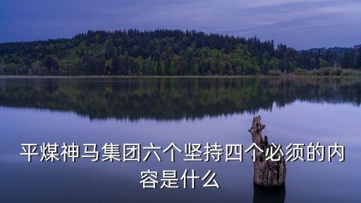  平煤神馬集團(tuán)六個堅(jiān)持四個必須的內(nèi)容是什么