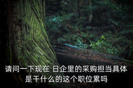 請問一下現(xiàn)在 日企里的采購擔(dān)當(dāng)具體是干什么的這個職位累嗎