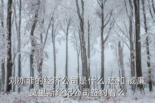 劉亦菲的經濟公司是什么,還和 威廉莫里斯經紀公司簽約著么