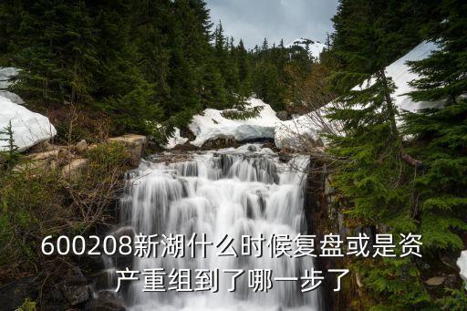 600208新湖什么時候復(fù)盤或是資產(chǎn)重組到了哪一步了