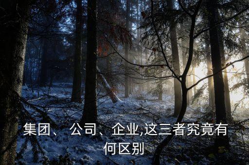  集團(tuán)、 公司、企業(yè),這三者究竟有何區(qū)別