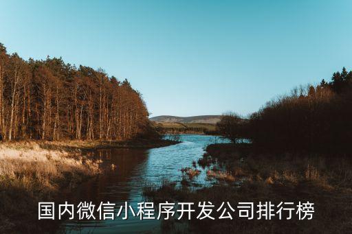 國(guó)內(nèi)微信小程序開(kāi)發(fā)公司排行榜